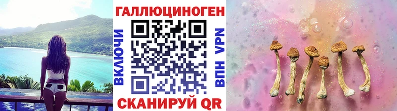 Купить закладки  Дегтярск  Псилоцибиновые грибы GOLDEN TEACHER 